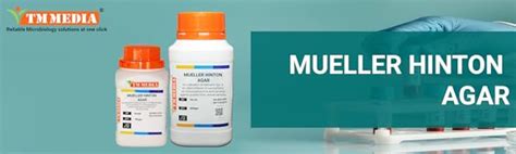 TM MEDIA MUELLER HINTON AGAR For cultivation of Neisseria & for ...