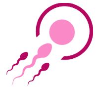 Services | Gynohealth Fertility & Women Care