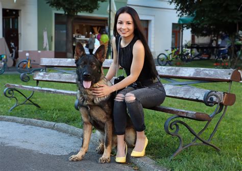 Trained Protection Dogs 的图像结果