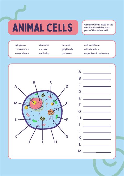 Cell Structure and Function Worksheet 的图像结果