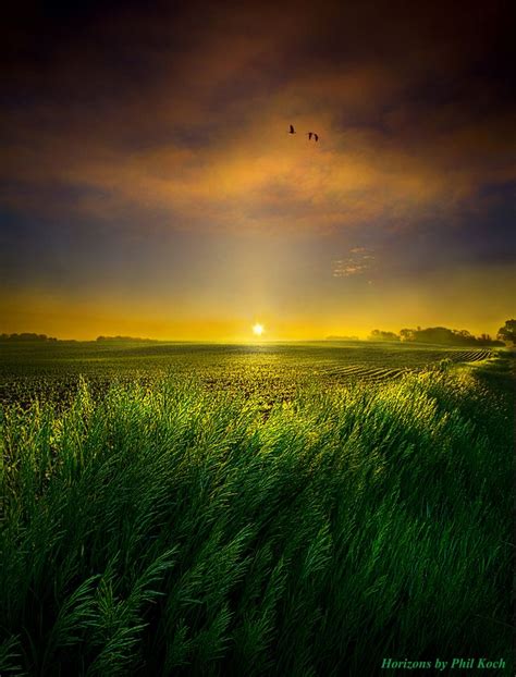 Quiet 的图像结果