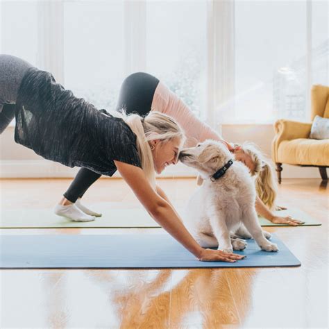 Puppy yoga: what it is, the benefits and is it ethical?