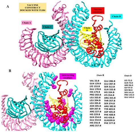 Immunoinformatics Approach to Design a Multi-Epitope Vaccine against ...