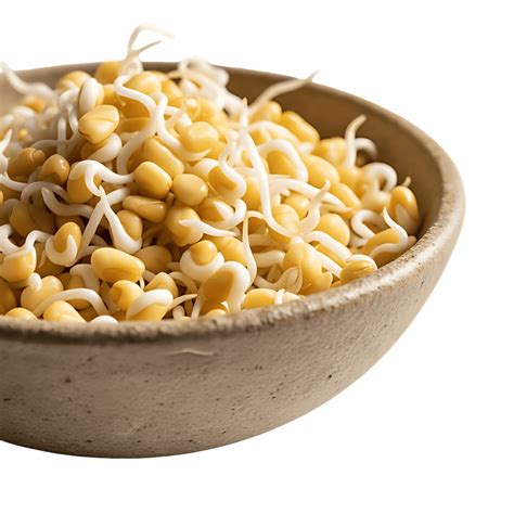 Sapro - Fresh Sprout Bowls for Fitness