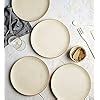 Buy miah decor Ceramic Dinner Plates Set of 4 Handcrafted Stoneware ...