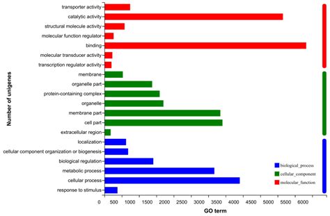 A Study of Adult Olfactory Proteins of Primitive Ghost Moth, Endoclita ...