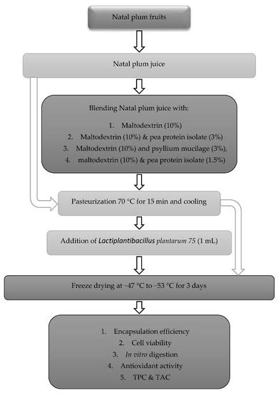 Foods | Special Issue : Nutrient-Rich Foods for a Healthy Diet