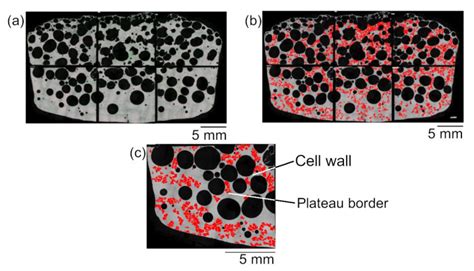Percolation of Primary Crystals in Cell Walls of Aluminum Alloy Foam ...