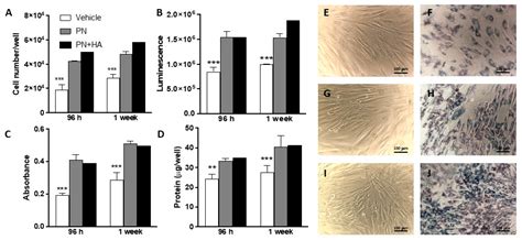 A Biomimetic Polynucleotides–Hyaluronic Acid Hydrogel Promotes Wound ...