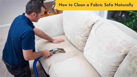 How to Clean a Fabric Sofa Naturally ? | Busy Bucket Services