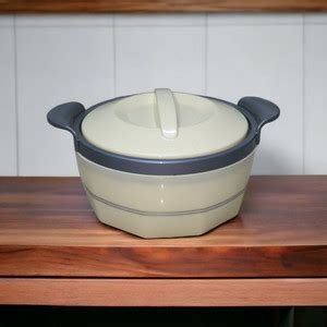 MILTON MILTON FIONNA Inner Stainless Steel Casserole, Easy to Carry ...