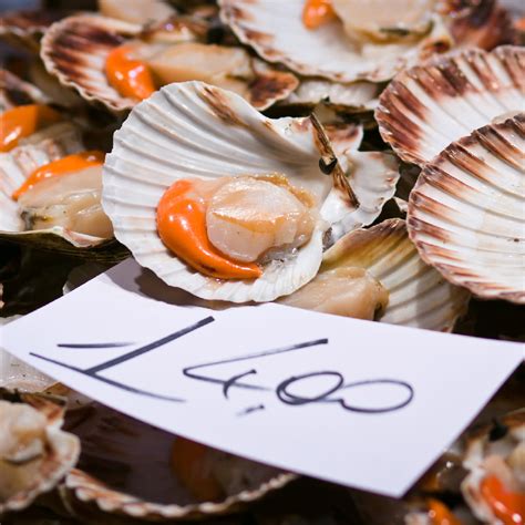 What Do Clams Eat? A Comprehensive Guide to Clam Diets