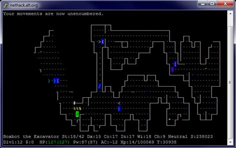 Image result for Playing NetHack