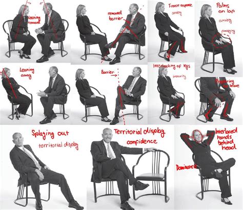 Open Posture Body Language 的图像结果