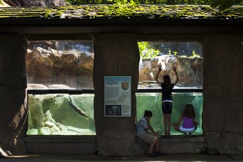Good Zoo At Oglebay | Attractions | VisitWheelingWV.com