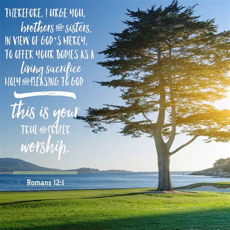 Image result for Romans 12 Overview