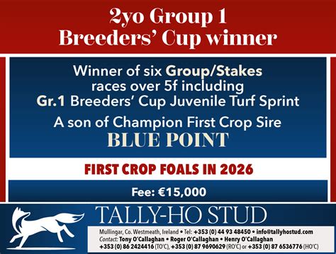 BIG EVS | Thoroughbred Stallion Guide