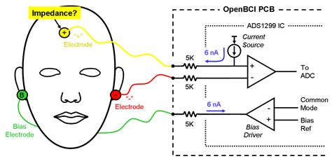 Validating Poly(3,4-ethylene dioxythiophene) Polystyrene Sulfonate ...