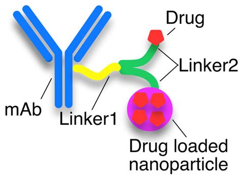 Business Risk Mitigation in the Development Process of New Monoclonal ...