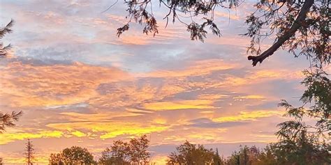 Vershire fall foliage 2022