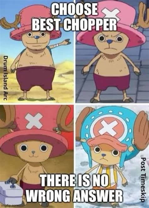 There is NO wrong answer | One piece funny, One piece drawing, Watch ...