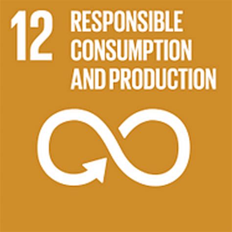 12 – Responsible Consumption and Production - Chennai Institute of ...