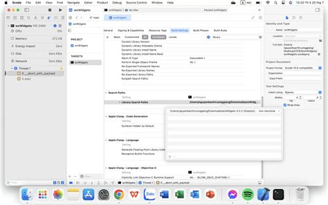 Xcode C++ 的图像结果