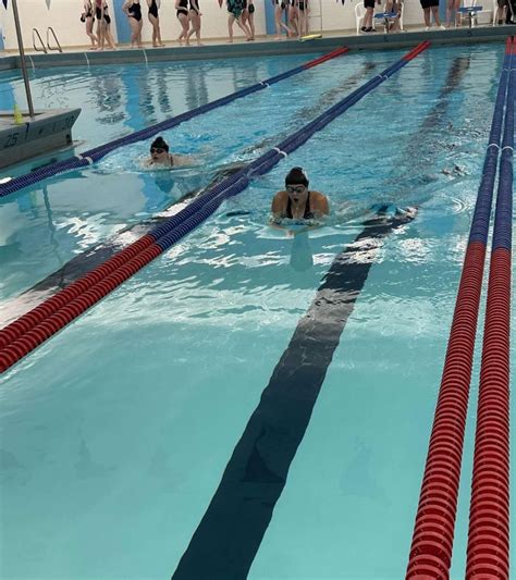 Swim Meet 的图像结果