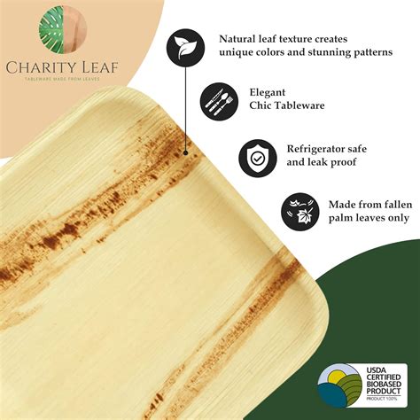 Buy Charity Leaf Disposable Palm Leaf 10 Square Plates (200 pieces ...