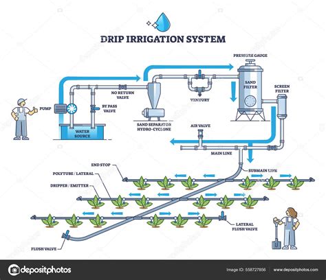 Illustration Of Drip Irrigation