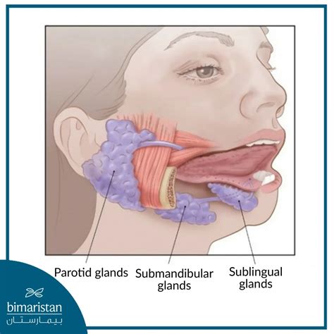 Salivary Gland Cancer Symptoms and Treatment in Turkey