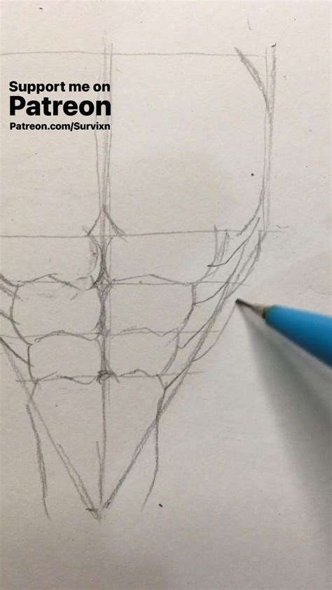 Image result for Draw Abs for Beginners