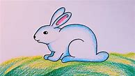Image result for Rabbit Colorin