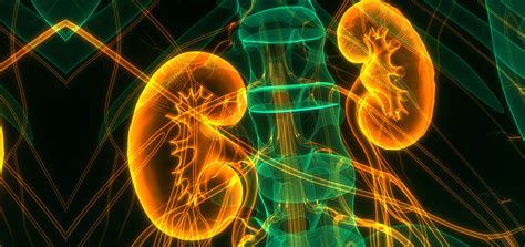 Best Nephrology Hospital in Coimbatore, India | PSG Hospitals