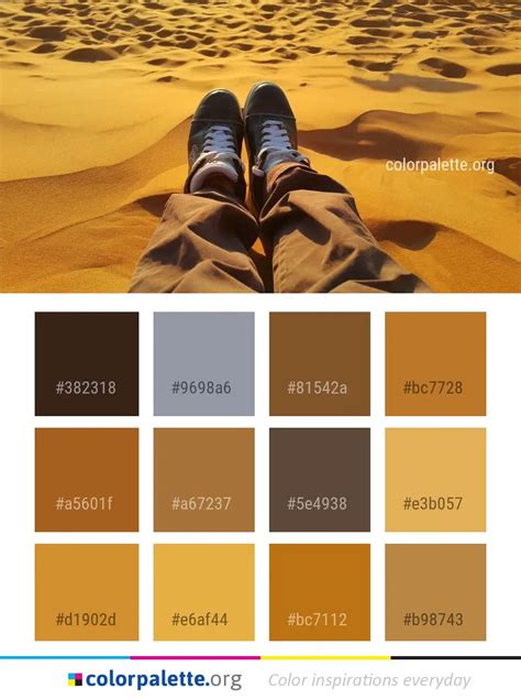 Sand Color 的图像结果