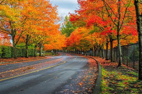 Image result for Autumn Homework EYFS