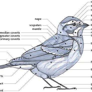 Image result for Dynamic Programming Problems Symbols