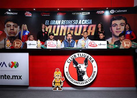 Jaime Munguia vs Bruno Surace Undercard - Full Fight Card List ...