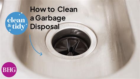 Image result for Garbage Disposal Cleaning