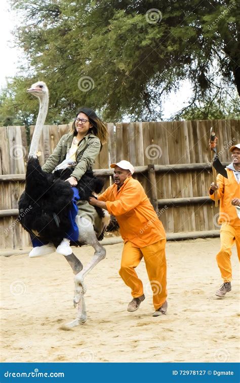 Ostrich Ride
