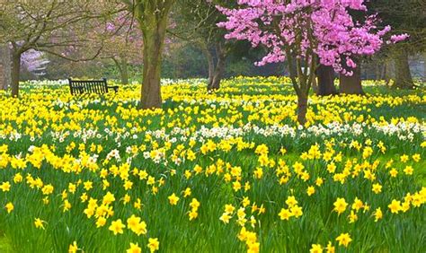 Image result for Spring Boot Default JSON Exception