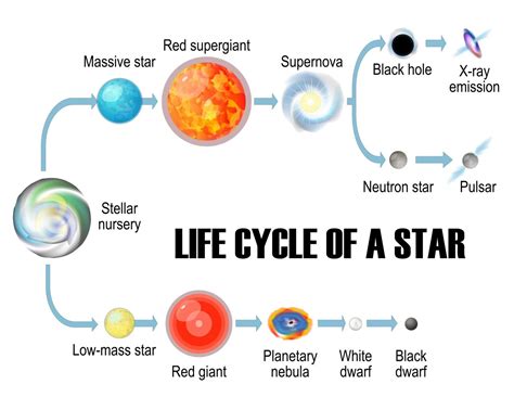 Life Cycle of a Star | Life cycles, Star life cycle, Lap book templates
