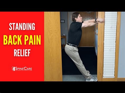 Image result for Standing Lower Back Exercises