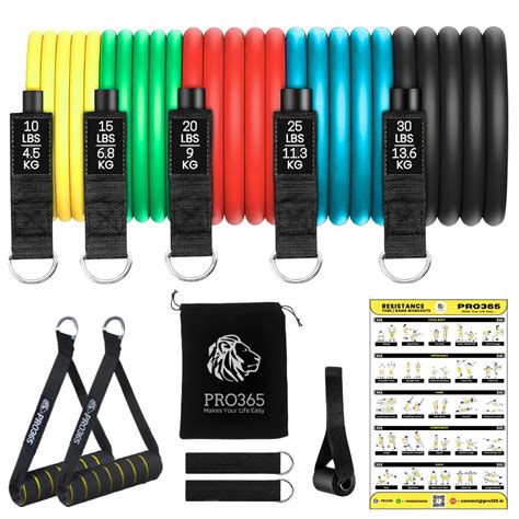 PRO365 Premium Resistance Exercise Bands Full Set | Thickened Door ...