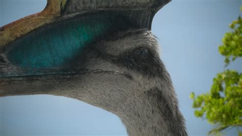 Computer Lessons Apple 的图像结果