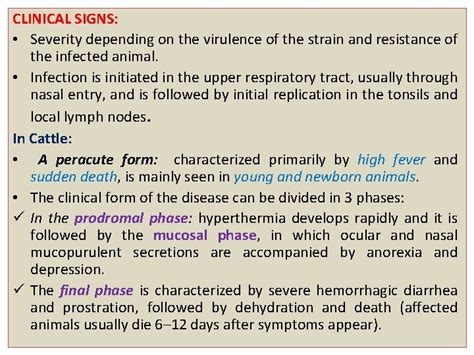RINDERPEST Synonym Cattle Plague Etiology Genus Morbillivirus within