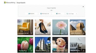 Search Using Image Bing 的图像结果