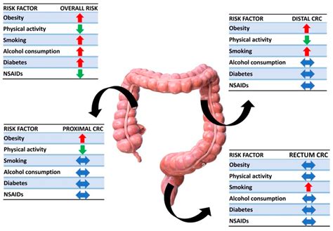 Early Onset Metastatic Colorectal Cancer: Current Insights and Clinical Management of a Rising ...