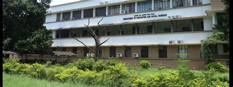 Top 20 colleges for MSc Economics in India Latest List 2023 - College Chalo