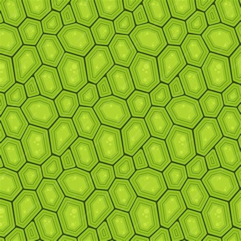 Image result for Turtle Shell Geometry
